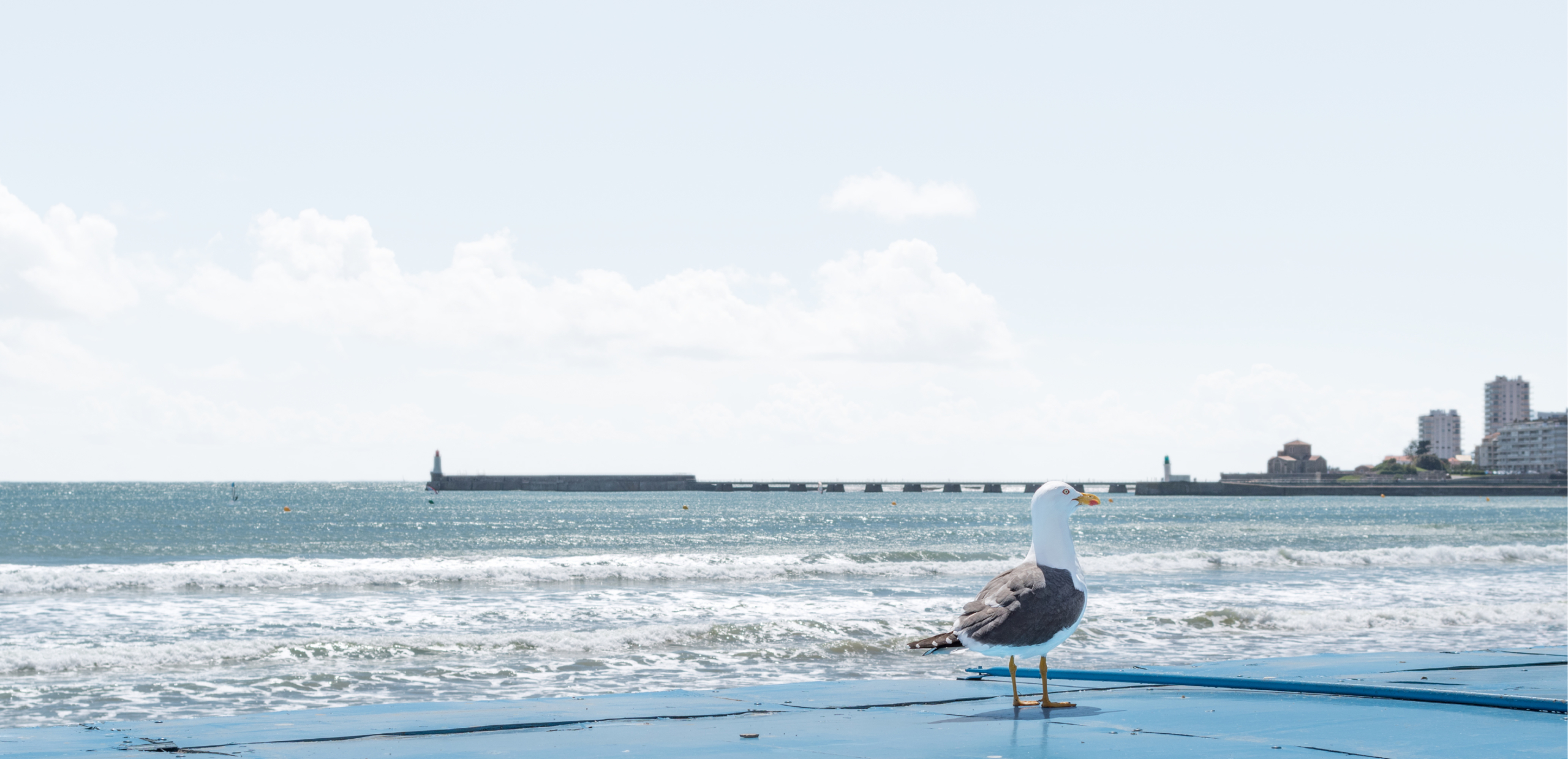 Port des Sables-d'Olonne